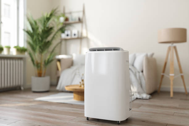 Best Air Filters and Purifiers in Cold Springs, NV